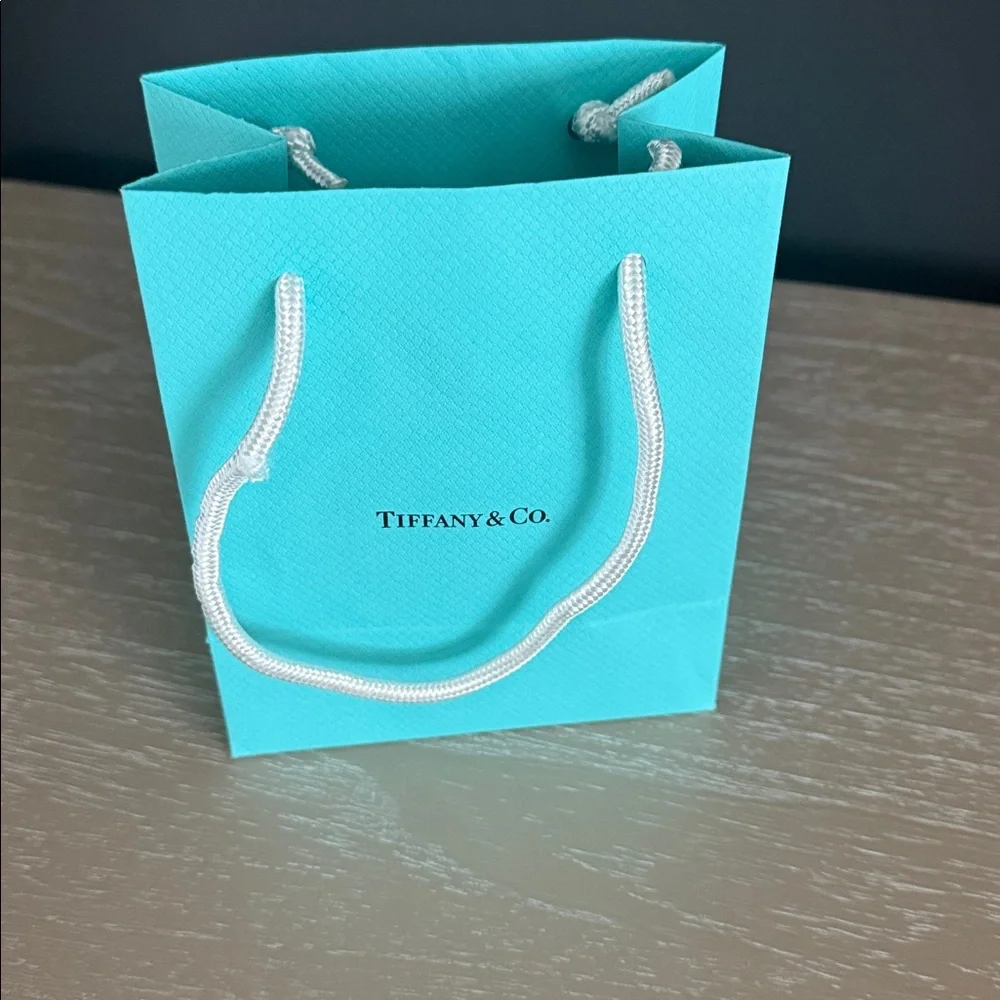 Tiffany & Co. Gift Bag with White Card